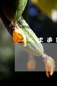 5次逾期 征信贷款 5次逾期 征信贷款